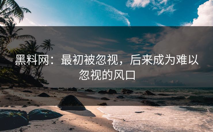 黑料网:最初被忽视,后来成为难以忽视的风口 黑料网:最初被忽视,后来成为难以忽视的风口