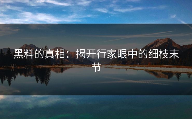 黑料的真相：揭开行家眼中的细枝末节