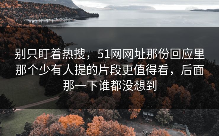 别只盯着热搜，51网网址那份回应里那个少有人提的片段更值得看，后面那一下谁都没想到