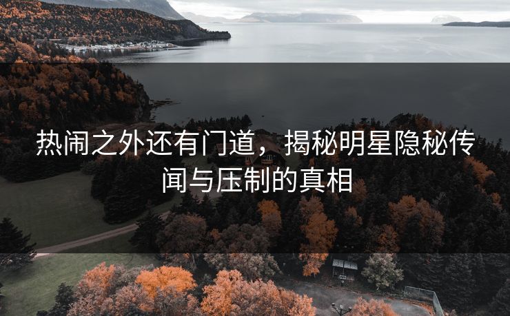 热闹之外还有门道，揭秘明星隐秘传闻与压制的真相